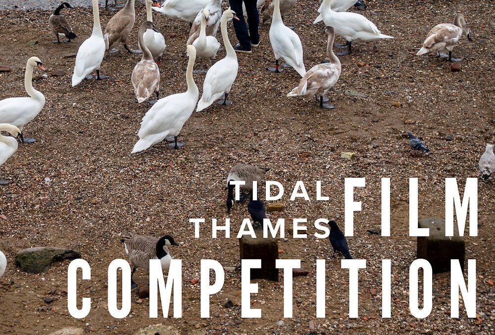 £5k First Prize for Filmmakers at the Tidal Thames Film Competition 2026 £5k First Prize for Filmmakers at the Tidal Thames Film Competition 2026